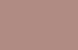 Blush Noisette 2