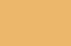Sundrenched Saffron 3