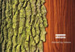 Sikkens launches high end woodcare book for specifiers